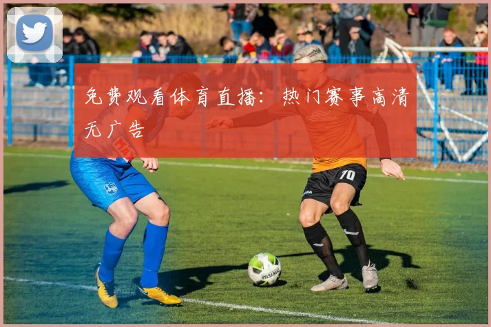 免费观看体育直播:热门赛事高清无广告