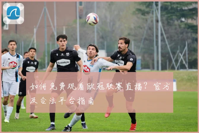 如何免费观看欧冠联赛直播?官方及合法平台指南
